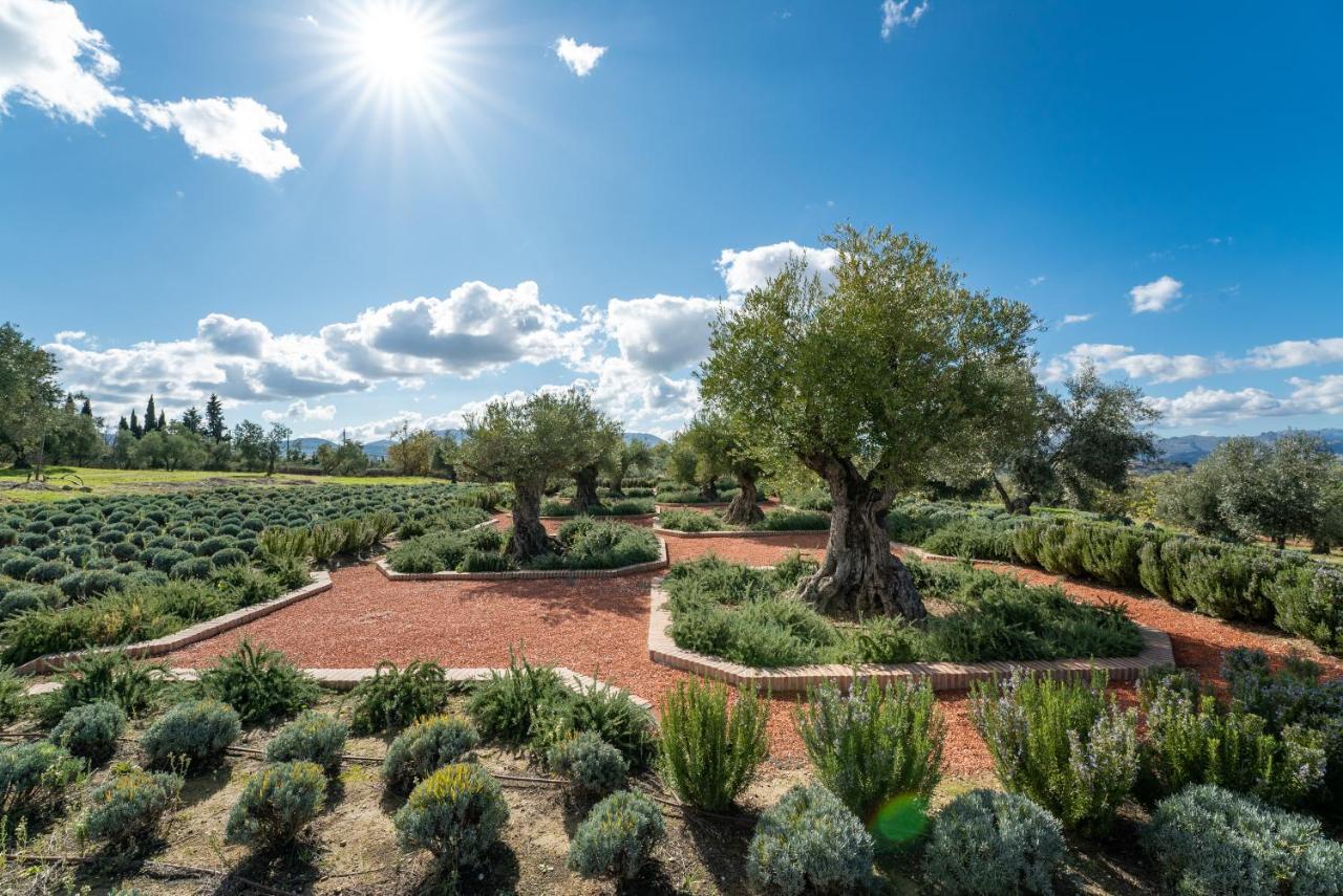 Cortijo La Organic Hotel Ronda Exterior photo